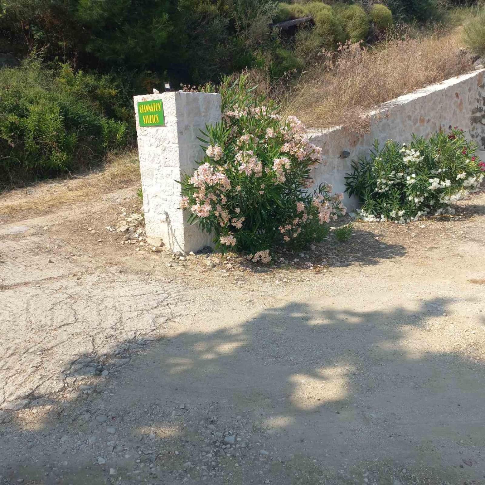 Giannatos' Studios - Makis Πόρος Εξωτερικό φωτογραφία